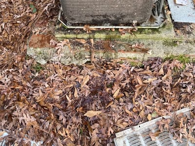 Norell Service Experts