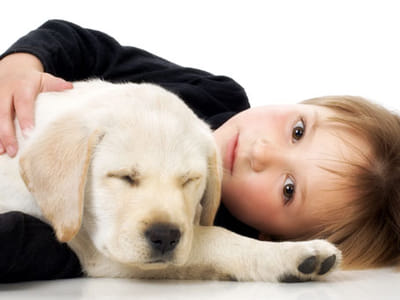 Norman Aire Services