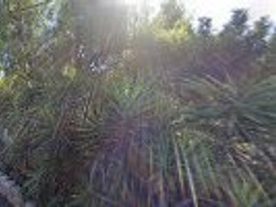 North County Heating & Cooling