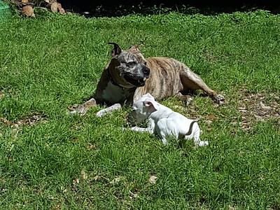 North Lake Heating & Cooling