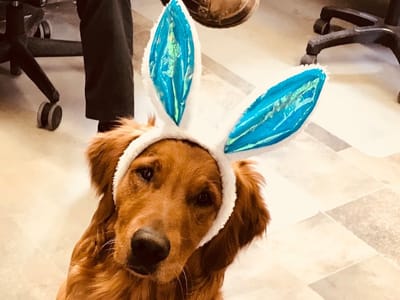 North Winds Heating & Cooling Inc