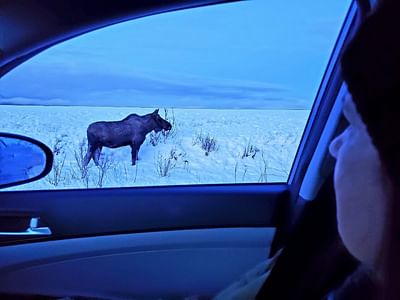 Northern Energy Technology, LLC