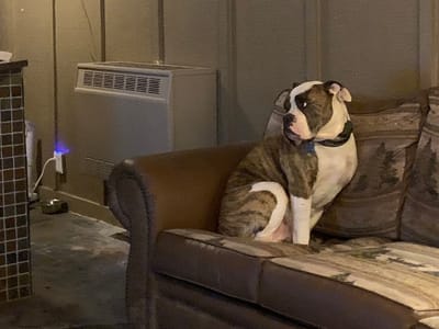 Northwoods Heating & Cooling, Llc