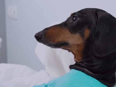 Novak Heating, Air & Duct Cleaning