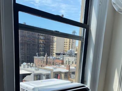 NYC PIGEON AIR CONDITIONER