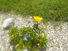 Oliver's Air Conditioning & Refrigeration, LLC