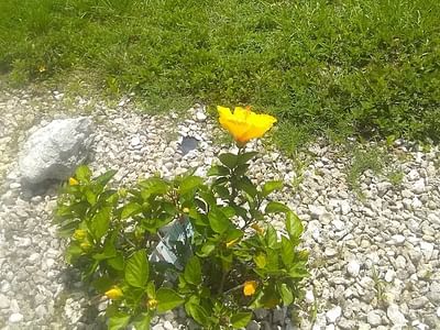 Oliver's Air Conditioning & Refrigeration, LLC