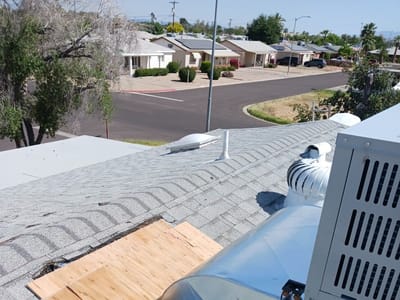 Orangutan Home Services