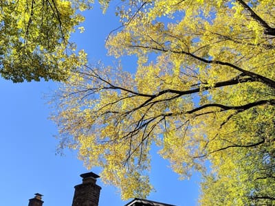 Orbit Heating and Cooling