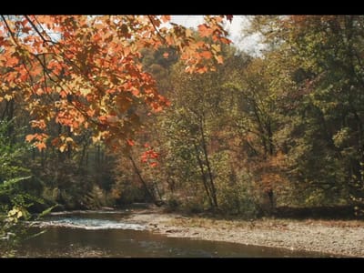 Ostrom Electrical Plumbing Heating & Air Conditioning