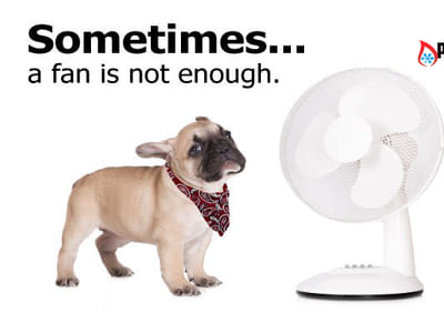 Pacific Energy Systems Cooling & Heating Inc.