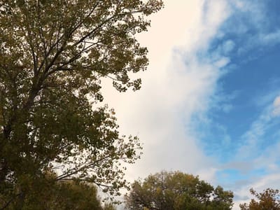 PacificAirUSA Hayward