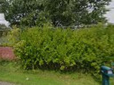 Pantano Plumbing, Heating & A/C