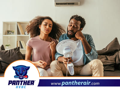 Panther HVAC