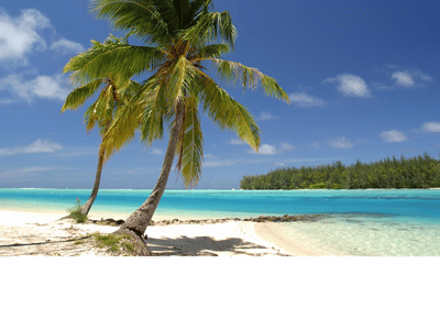 Paradise Heating & Cooling