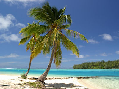 Paradise Heating & Cooling