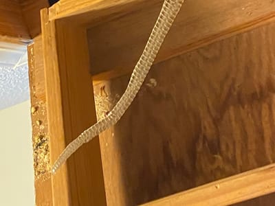 Pardee Service Experts