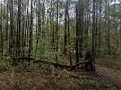 Parrish Mechanical Systems Inc