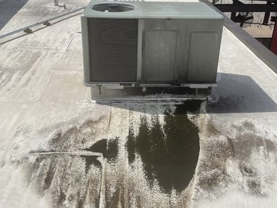 Partisan Air Express