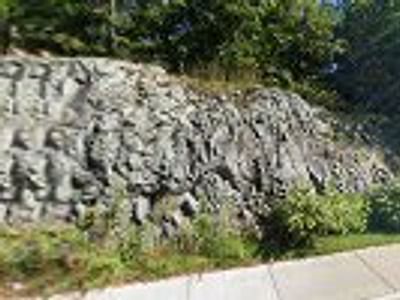 Patriot Mechanical Services Inc.