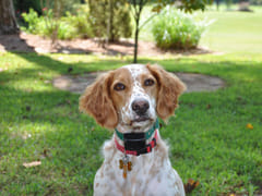 Patterson Heating & Air Conditioning