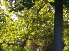 Patterson's Repair Services Inc