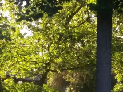 Patterson's Repair Services Inc