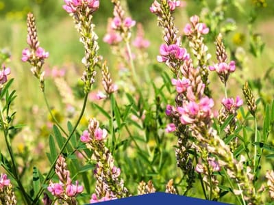 Pepper Air Conditioning & Heating