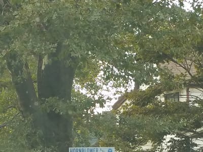 persistent service llc