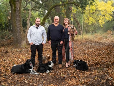 Peter Levi Plumbing, Heating, Cooling, Drains