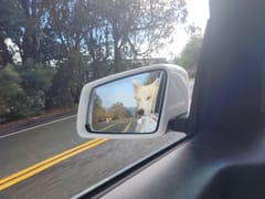 Peterson Mechanical Inc.