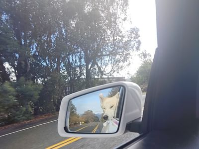 Peterson Mechanical Inc.