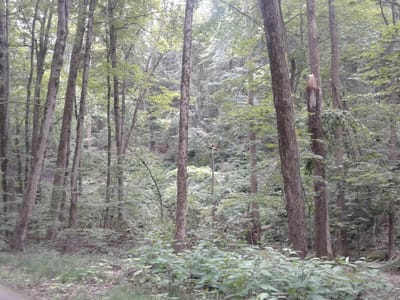 Phil-Co Heating & Cooling