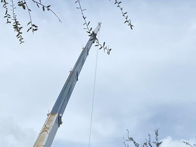 Pineapple Mechanical Services