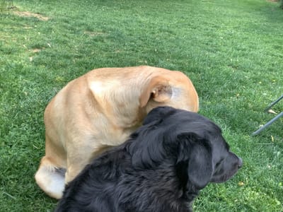 Pipco Air Conditioning & Heating