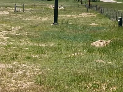 Plains Heating and Air Conditioning, Inc.