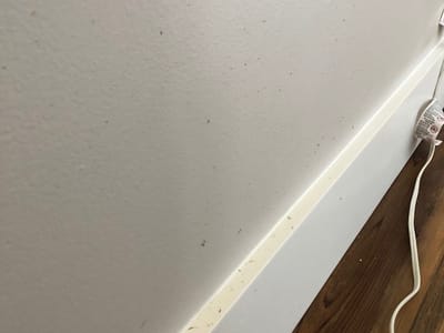 Pleasant Creek Heating & Air Conditioning