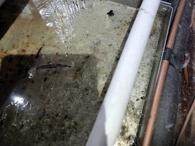 Plitnick Plumbing & Heating & Oil