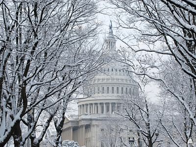 Polar Bear Air Conditioning & Heating Inc.