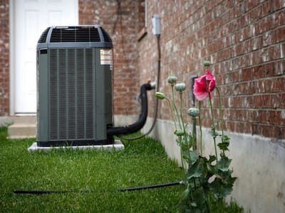 Polar Bear Heating And Air Conditioning LLC