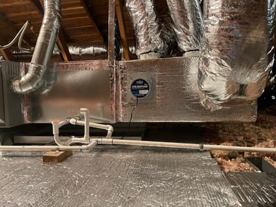 Polar Bear Heating and Air