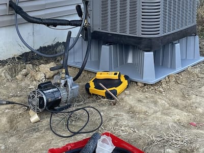 Polley’s Perfect Seasons