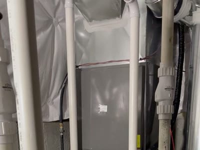 Polley’s Perfect Seasons