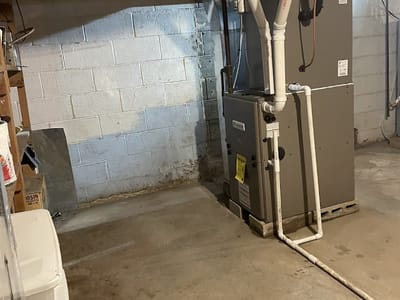 Polley’s Perfect Seasons