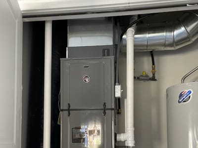 Polley’s Perfect Seasons