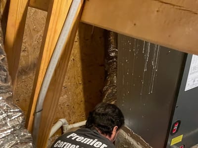 Premier Carpet & Duct Cleaning