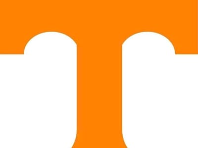 Premier Services Group, Inc