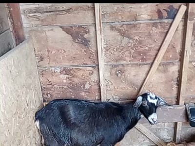 Prineville Heating & Cooling