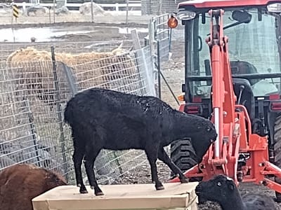 Proformance Heating and Air