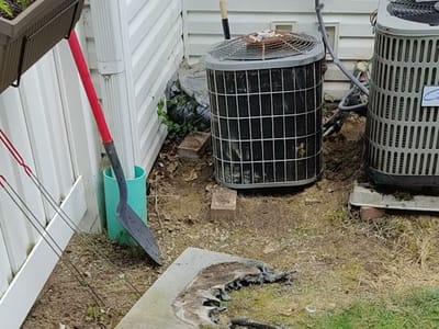 Property Reincarnate